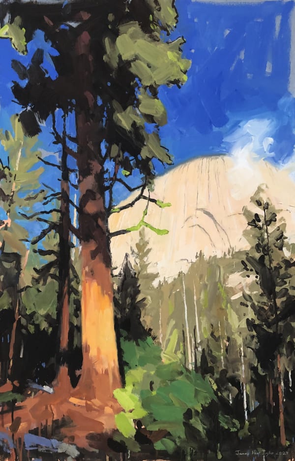 Orange and green, Half Dome, Yosemite, 2024