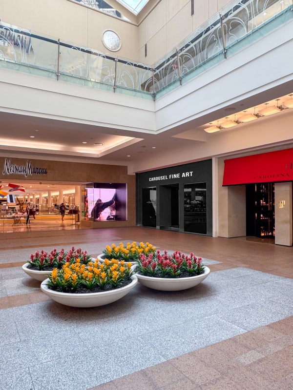 Art gallery in Lenox Square Atlanta, where contemporary fine artworks available to acquire and Atlanta art advisors are available.