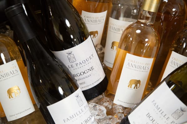 Bottles of wine in ice bucket.