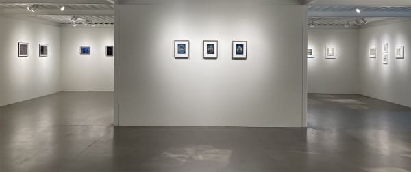 Img 3227 Copy