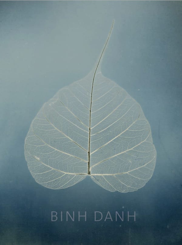 Binh Danh