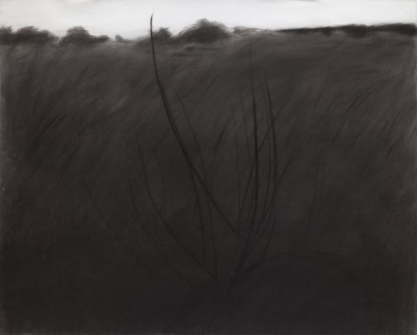 From the series National Landscape 2017 Nikita Kadan Charcoal, paper 120x150cm