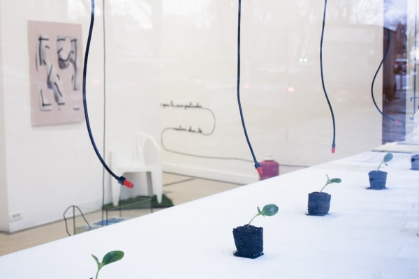 L'exposition que j'aurais aimé vouloir faire, Galerie du Haut Pavé © Marcos Uriondo