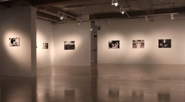 Anagnórisis-La Trama, Facultad de Bellas Artes de Málaga © María Dávila