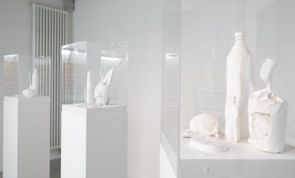 Angélique, série des "Nourritures du futur", crédit photo Estelle Lutaud, courtesy Centre d'Art contemporain L'ar[T]senal
