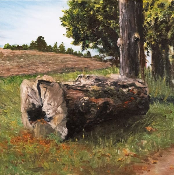 Hubert Schneebeli, Tronc de Tournay, 2021