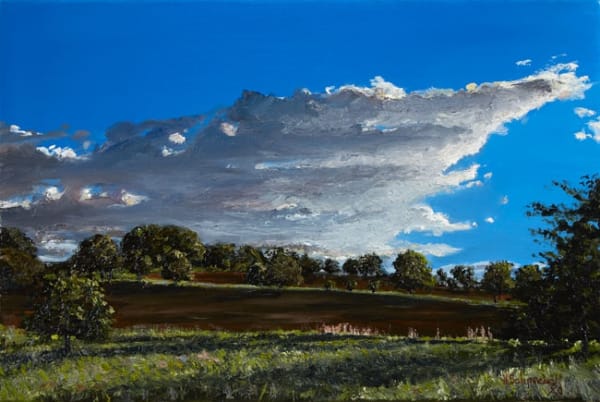 Hubert Schneebeli, Campagne de Tournay, 2020