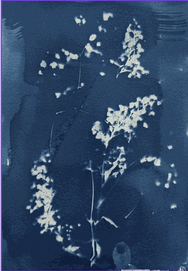 Fiyin Koko, It's Raining In This Side (Part 9) , 2024