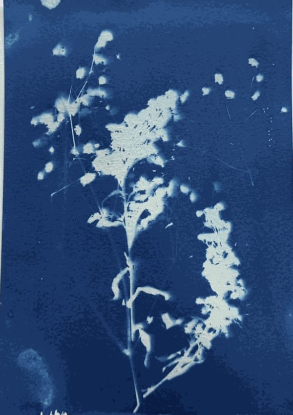 Fiyin Koko, It's Raining In This Side (Part 8), 2024