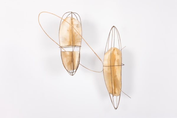 Alison Coates Carapace in Space