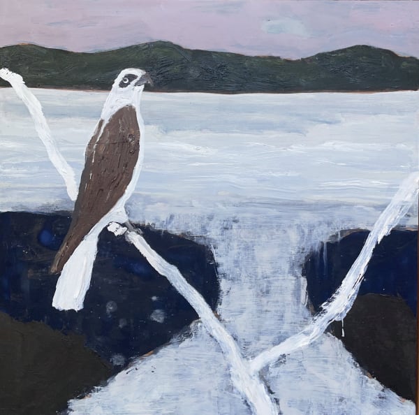 Peter Stevens Yuraygir