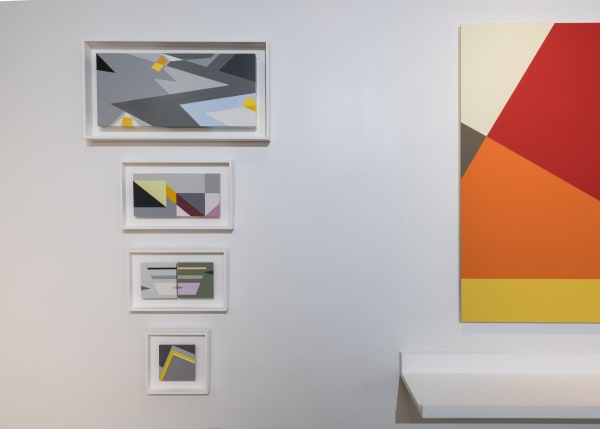 Judith Seligson 20 Shark