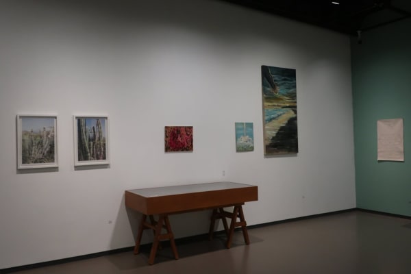 Alejandra Venegas at Fundación Casa Wabi, El Colegio de San Ildefonso, Mexico City, Mexico