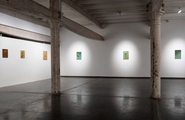 Install View 2 Edit Cb