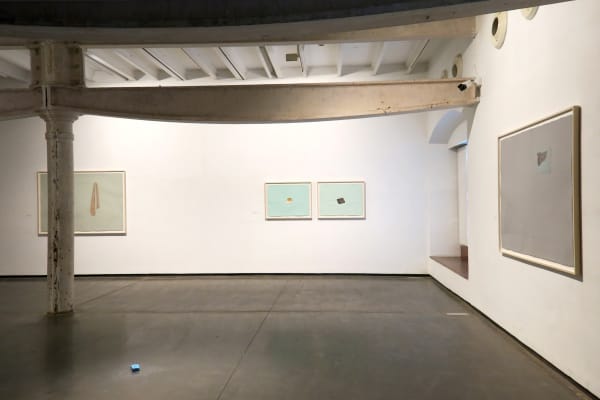 8 Ppotnis A Body Without Organs Install