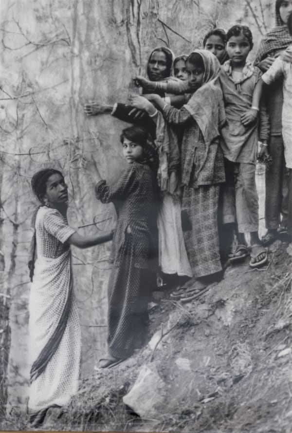 Tejal Shah, Chipko, Lenticular print, 70.8 x 47.2 inches, 2018