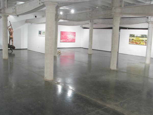 Confabulations Mahesh Baliga