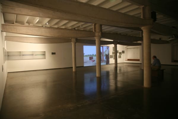 Section Yellow Bani Abidi