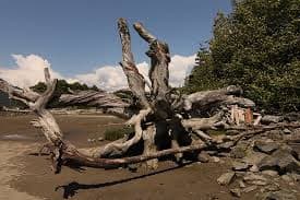 Pallavi Paul Selected For The Short Term Research Project By The Sarai Programme