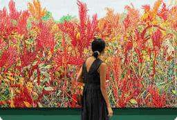 Art Basel Hong Kong | Hong Kong Exhibition And Convention