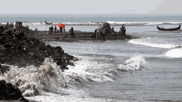 Rohini Devasher | Kochi Muziris Biennale