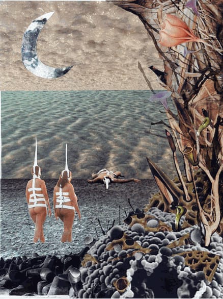 Tejal Shah | DOCUMENTA (13), Kassel, Germany