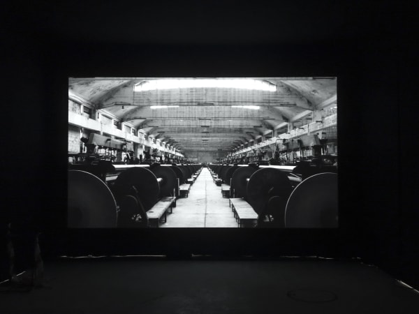 Munem Wasif at 16th Lyon Biennale/ Manifesto Of Fragility