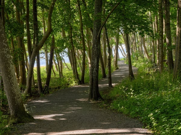 MOMENTUM 11: HOUSE OF COMMONS