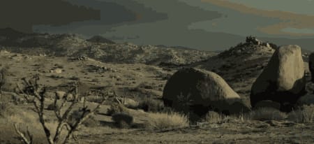 E-Flux: Ecology After Nature: Industries, Communities, And Environmental Memory