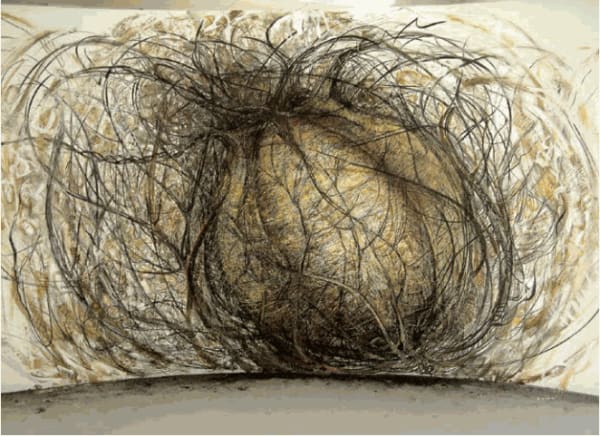 Seed, by Rohini Devasher, 2004. Charcoal, acrylic, colour, pencil, oil pastel, wood; 245 x 457 cm