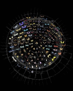 Rohini Devasher “Hopeful Monsters” Archival pigment print on fine art baryta paper 60 x 70 inches 2018