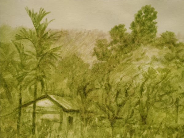 Dharmendra Prasad, Between legal ,illegal and the river Drawing 1 , Bathua (Chenopodium album), Paani laau (Bottle gourd), Urohi paat (leaves of India beans), on paper, 7429 x 42.5 inches, 2021