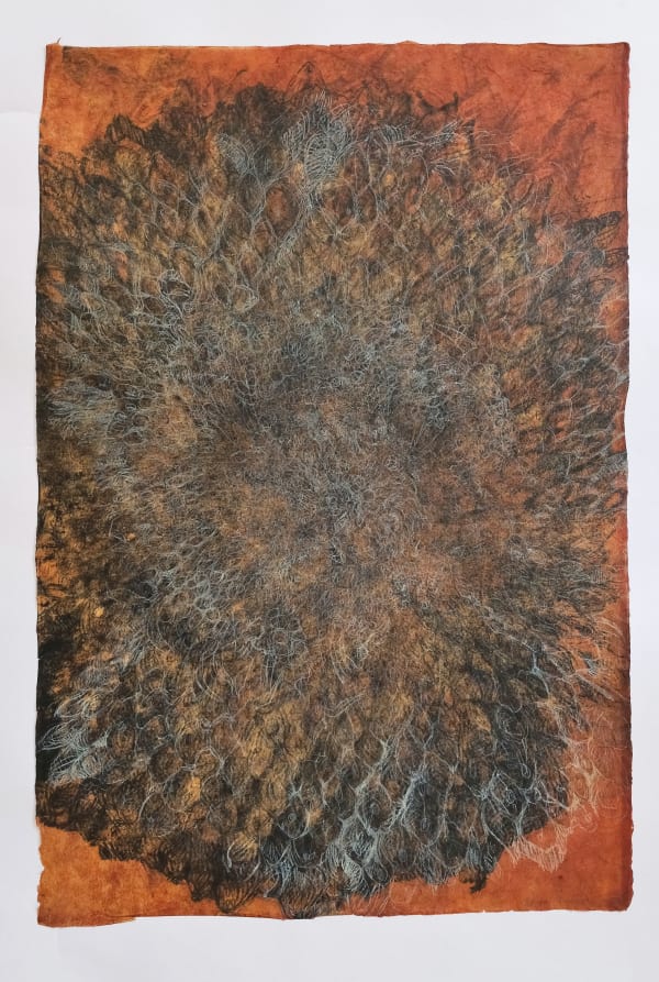 Helianthus 1, Lithograph on oil soaked Indian rice paper, 75.5 x 51.5 cms, 2004