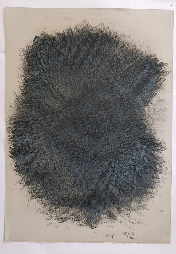 Helianthus 10, Lithograph on Somerset Paper, 91 x 66 cms, 2004