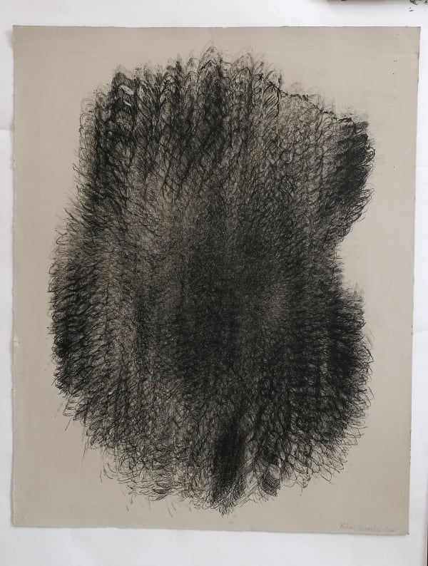 Helianthus 11, Lithograph on Somerset Paper, 88 x 70 cms, 2004