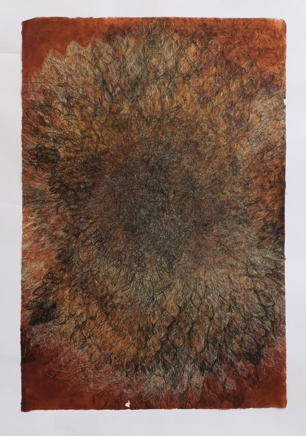 Helianthus 2, Lithograph on oil soaked Indian rice paper, 75.5 x 51.5 cms, 2004