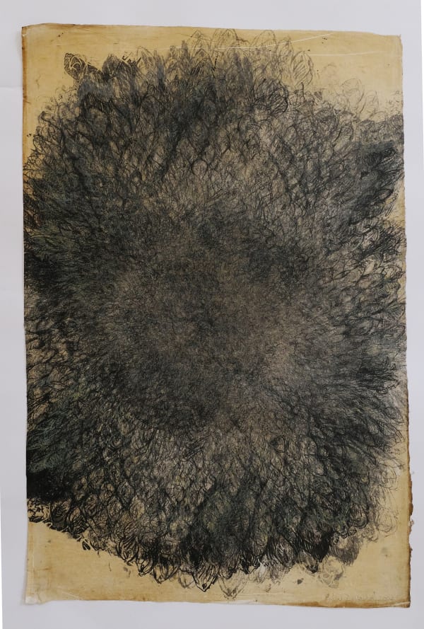 Helianthus 4, Lithograph on Indian rice paper, 81 x 53.5 cms, 2004