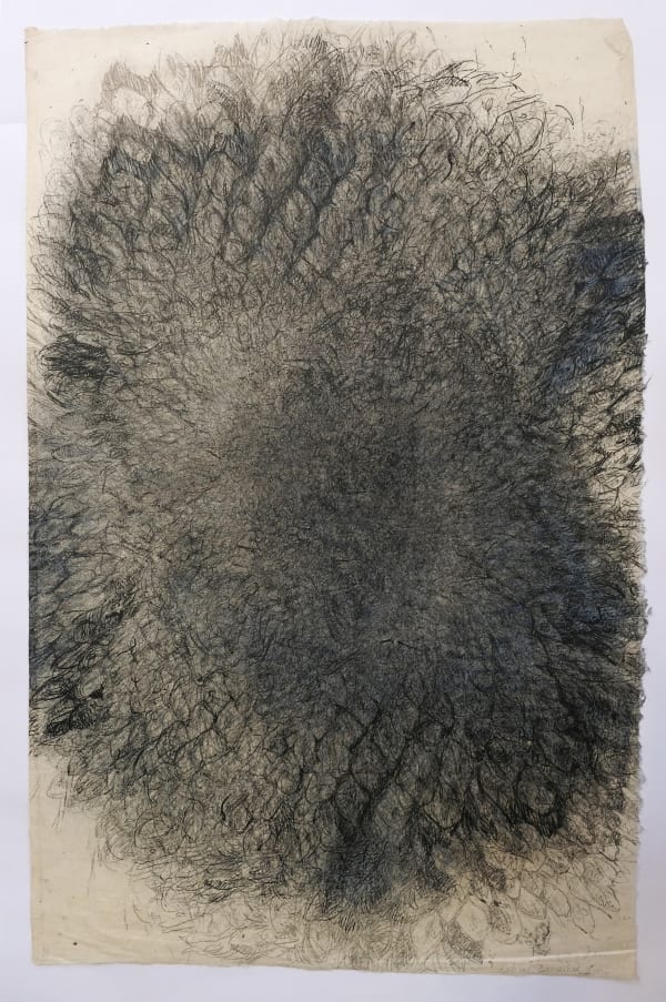 Helianthus 5, Lithograph on Indian rice paper, 81 x 53.5 cms, 2004