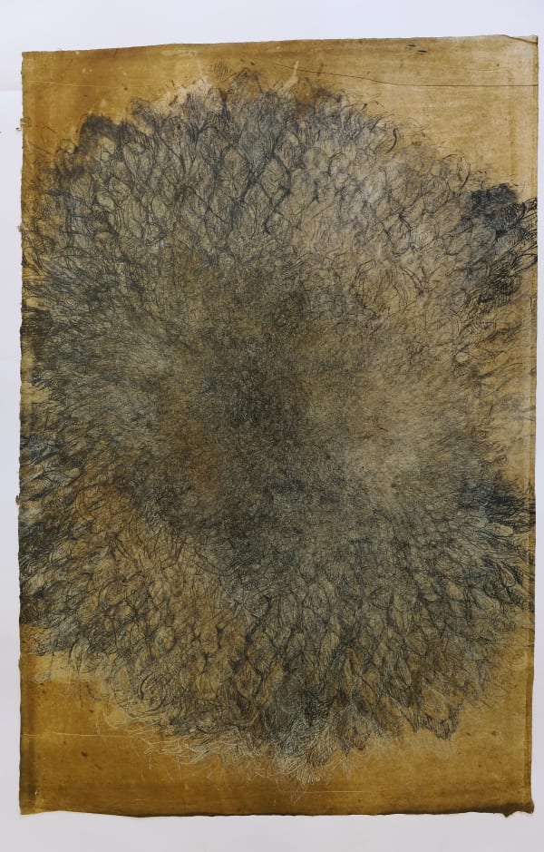 Helianthus 6, Lithograph on Indian rice paper, 81 x 53.5 cms, 2004