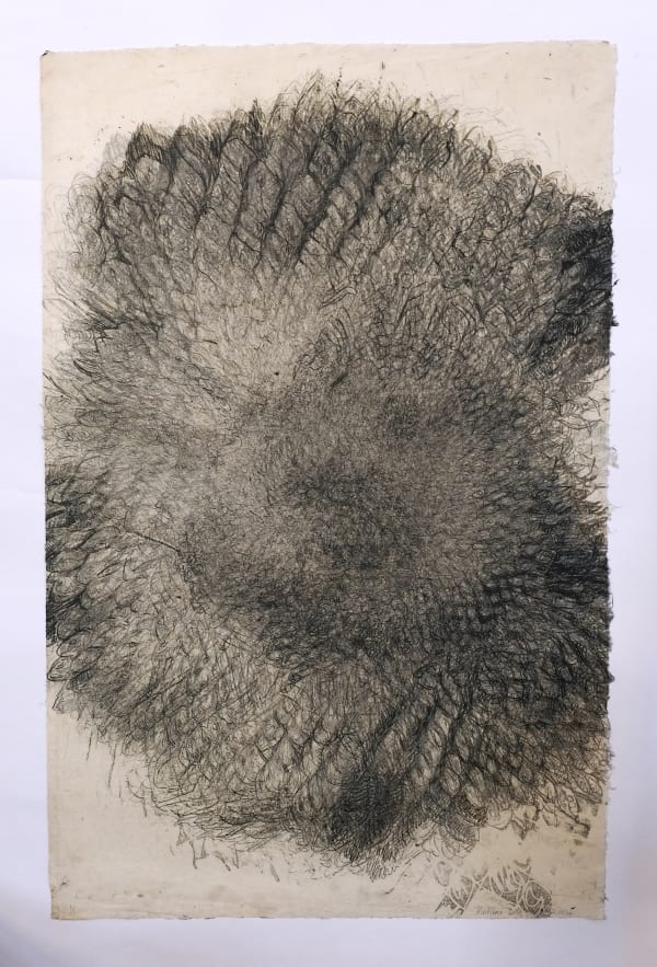 Helianthus 7, Lithograph on Indian rice paper, 81 x 53.5 cms, 2004
