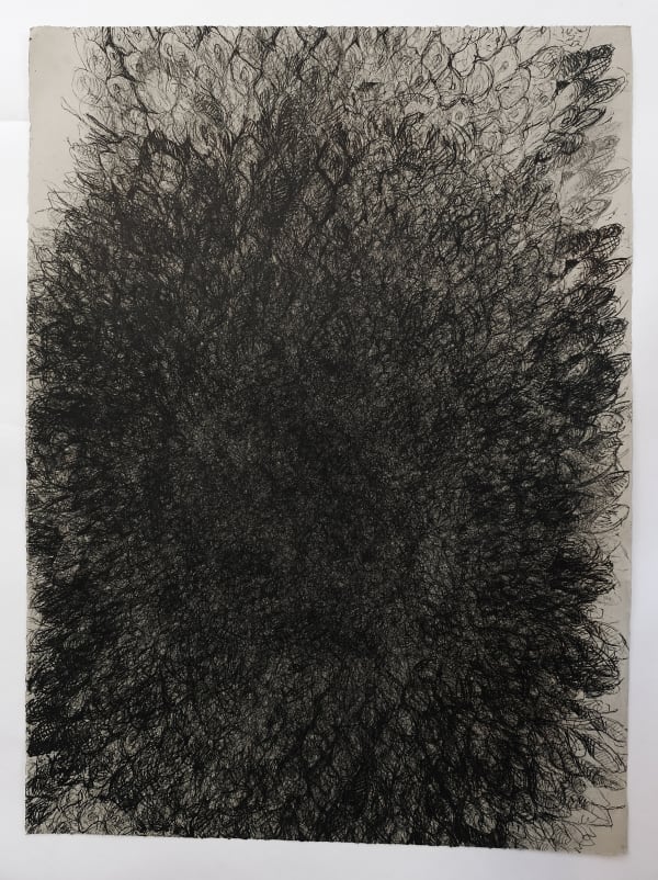 Helianthus 9, Lithograph on Somerset Paper, 76 x 56 cms, 2004