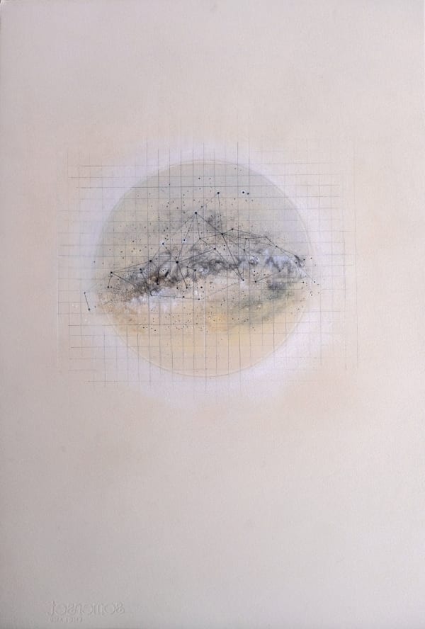 Observations 1, Dry pastel, colour pencil, pencil on Somerset Paper, 56 x 37.5 cms, 2020