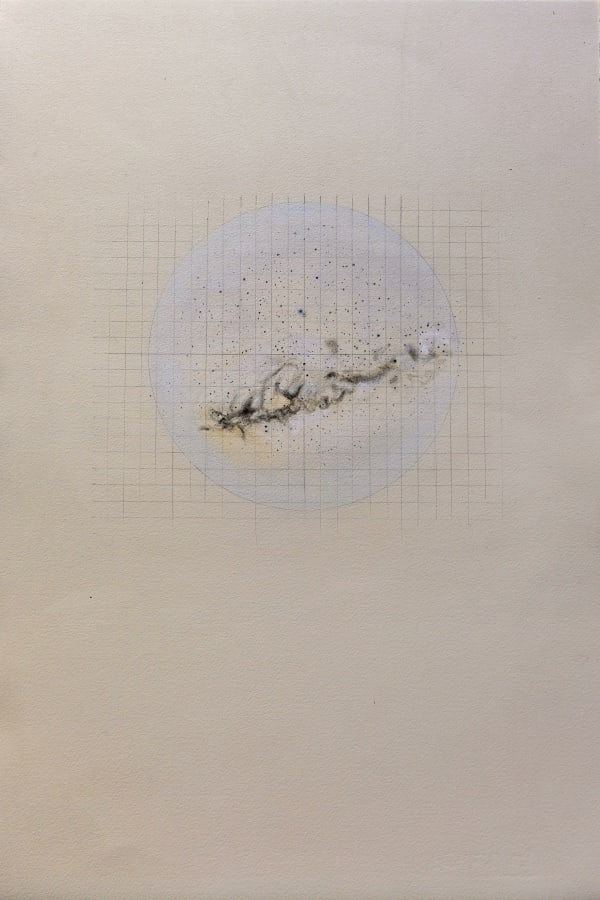 Observations 2, Dry pastel, colour pencil, pencil on Somerset Paper, 56 x 37.5 cms, 2020