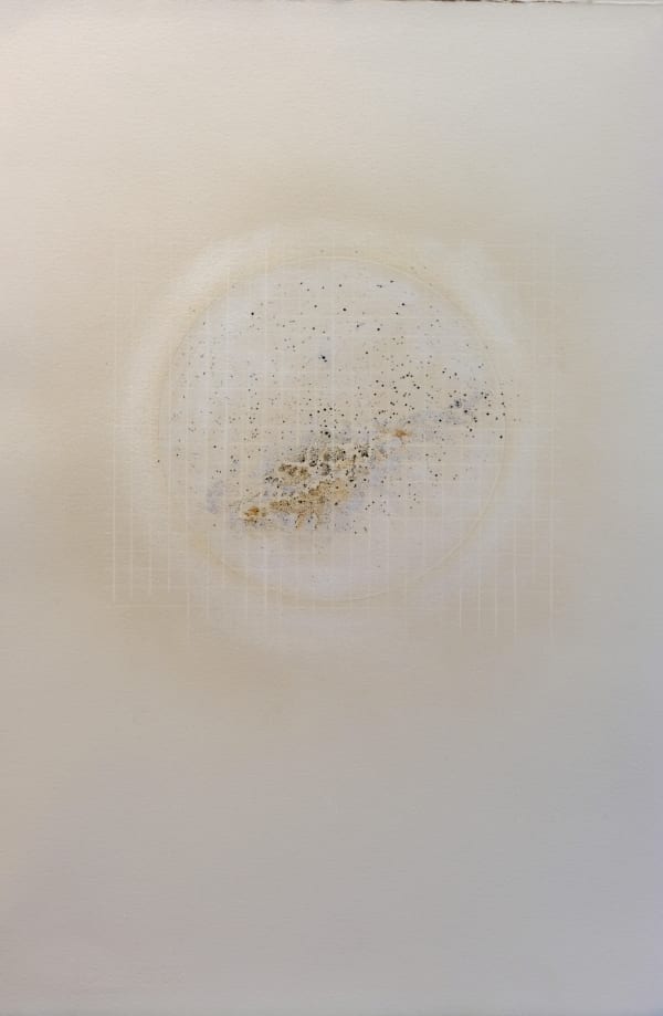 Observations 3, Dry pastel, colour pencil, pencil on Somerset Paper, 56 x 37.5 cms, 2020