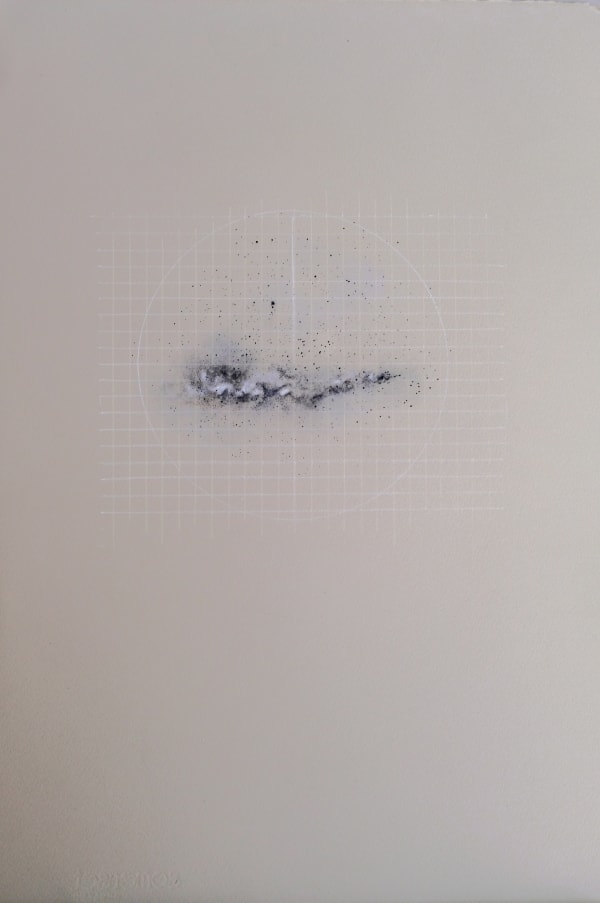Observations 4, Dry pastel, colour pencil, pencil on Somerset Paper, 56 x 37.5 cms, 2020