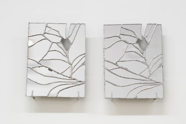 Ryan Van Der Hout, mirror mirror, 2024