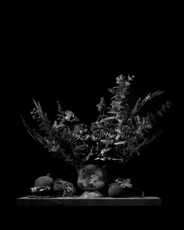Ryan Van Der Hout, Compote, 2021