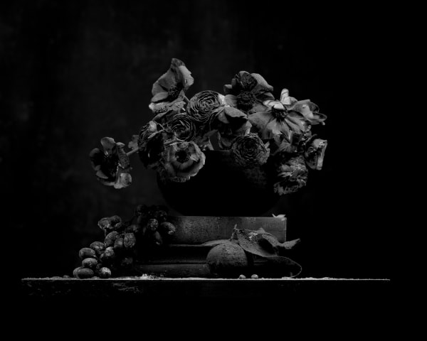 Ryan Van Der Hout, Poppies , 2021