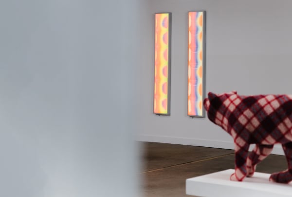 THE GALLERY COLLECTION