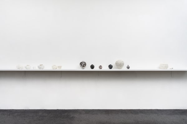 A Fresh Perspective, Gallery LNL